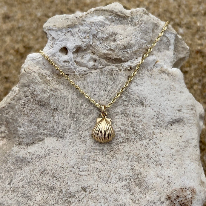 Hawaiian Sea Shell Charm Pendant in gold