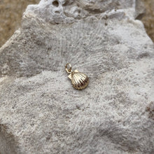 Load image into Gallery viewer, Gold Hawaiian Sea shell charm 
