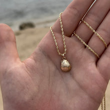 Load image into Gallery viewer, Sea shell charm on a gold chain
