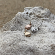 Load image into Gallery viewer, Hawaiian Sea shell charms in gold