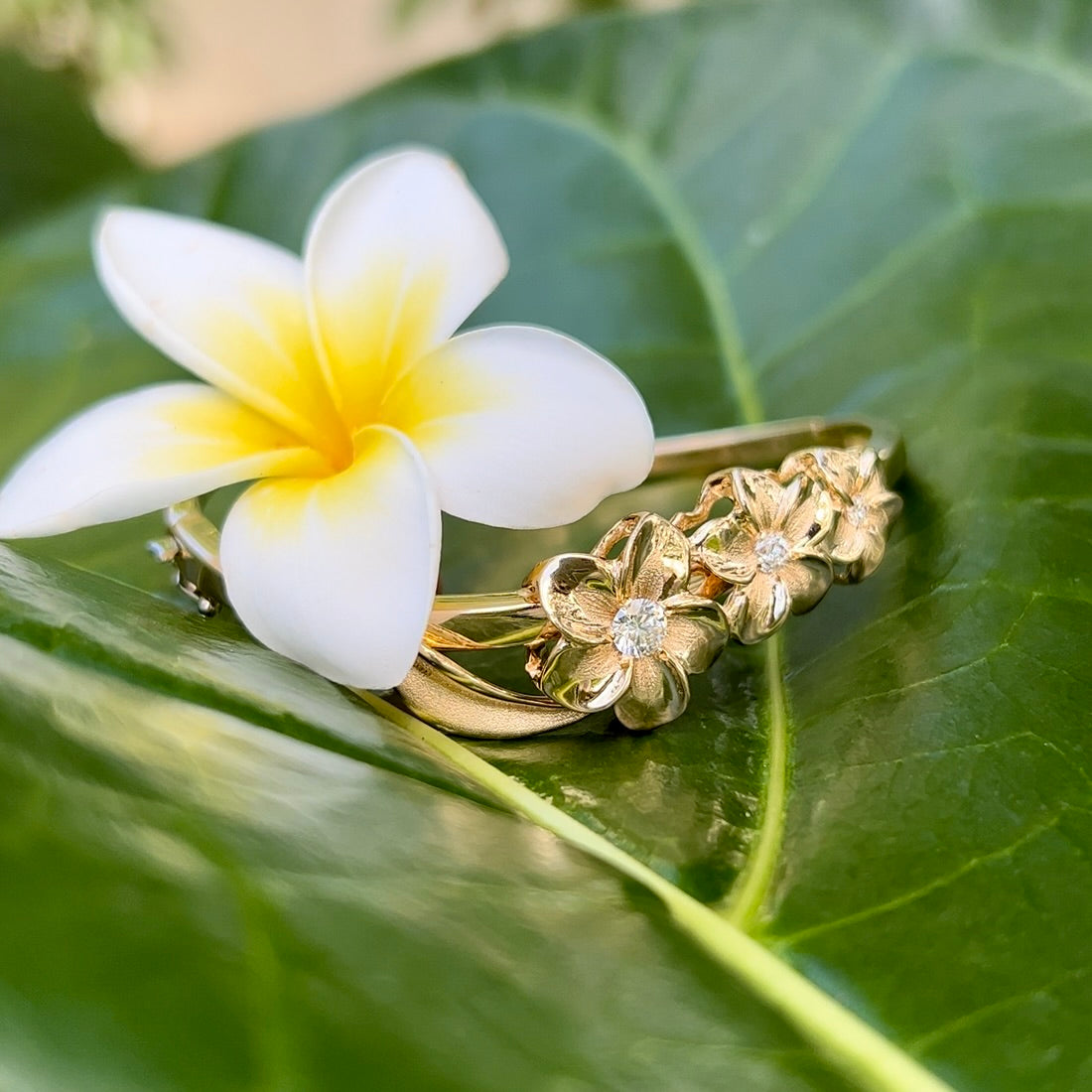 フィリップリカード　ハワイアンジュエリー　ブレスレット　イエローゴールド14K Three Diamond Plumeria Hawaiian Bracelet w/ Hinge & Clasp in 14K Yello