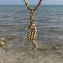 Load and play video in Gallery viewer, Seahorse Pendant in 14K Green Gold

