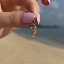 Load and play video in Gallery viewer, Seahorse Charm in 14K Yellow Gold
