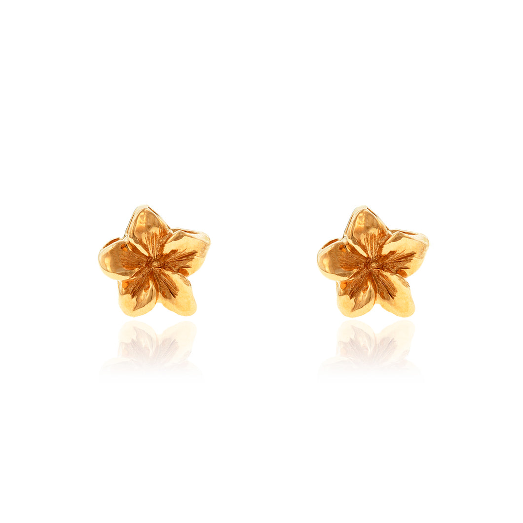 Baby Plumeria Earrings - Philip Rickard