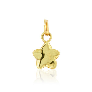 Medium Plumeria Charm - Philip Rickard