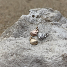 Load image into Gallery viewer, Sea Shell Charm in 14K Yellow Gold
