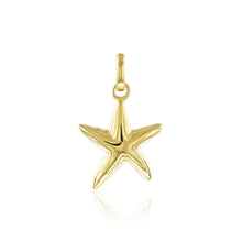 Load image into Gallery viewer, Small Starfish Pendant - Philip Rickard
