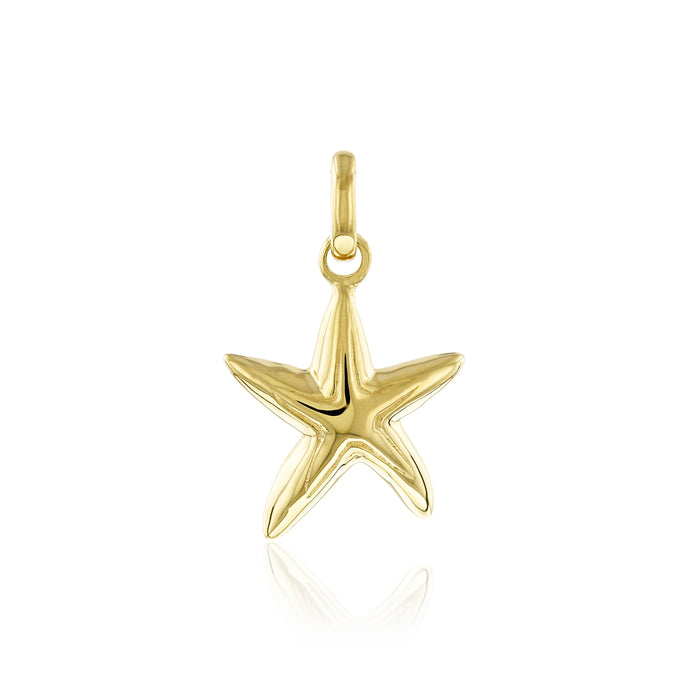 Small Starfish Pendant - Philip Rickard