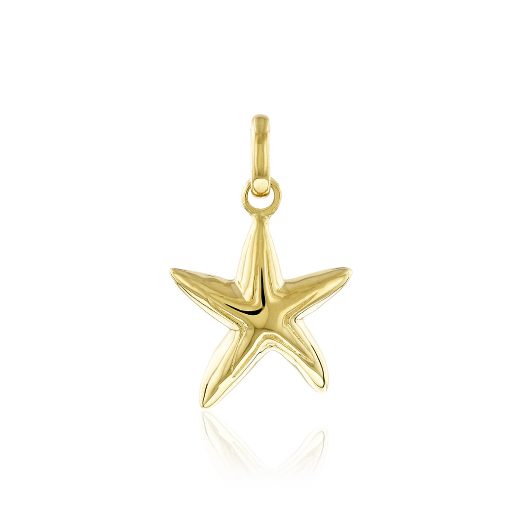 Small Starfish Pendant - Philip Rickard