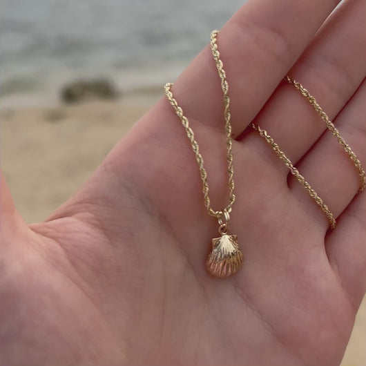 Sea shell charm on a chain